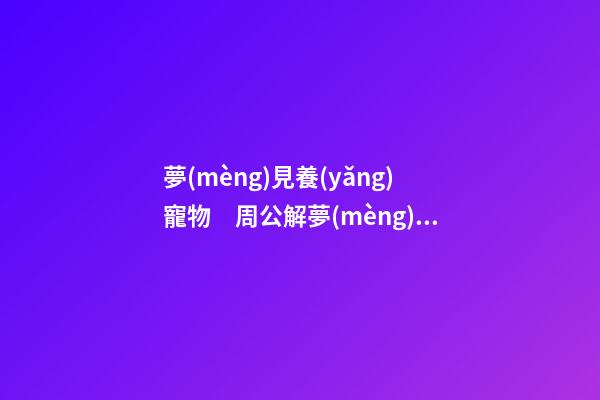 夢(mèng)見養(yǎng)寵物　周公解夢(mèng)之夢(mèng)到養(yǎng)寵物